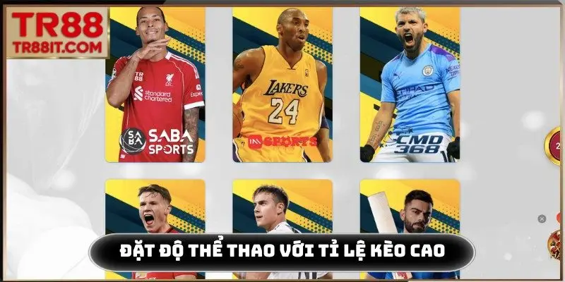 Đặt độ thể thao với kèo cược cạnh tranh