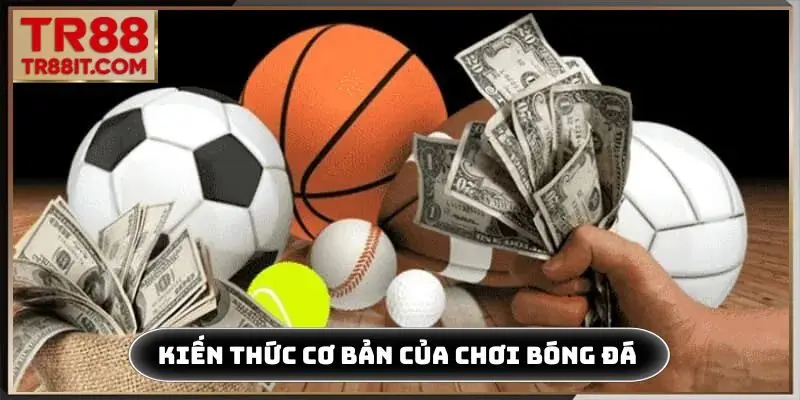 Kiến thức cơ bản của cách chơi bóng đá không thua